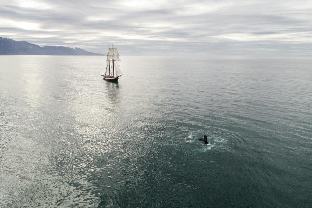 Embracing Wanderlust: Exploring the Call of the Unknown in Melville’s “Moby-Dick”